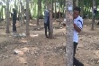 Cao su VRG tại Campuchia: Sẽ khai thác diện tích lớn trong 2017